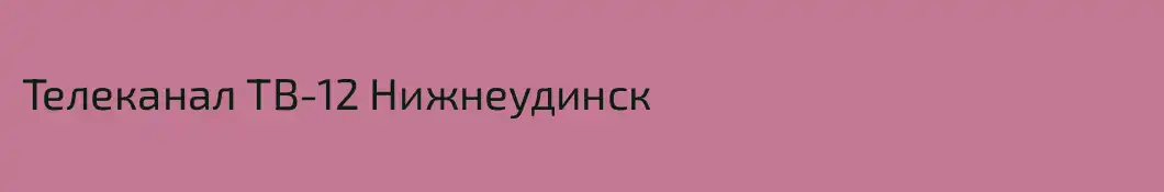 Телеканал ТВ-12 Нижнеудинск